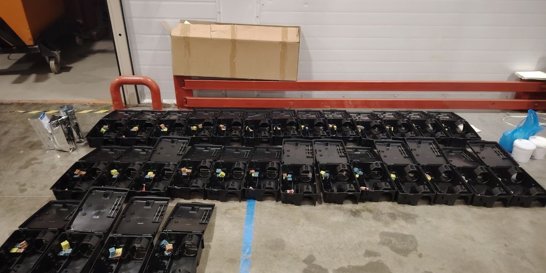 Дератизация: как проходит профессиональная обработка от крыс и мышей в 2026 году (этапы + гарантия результата)