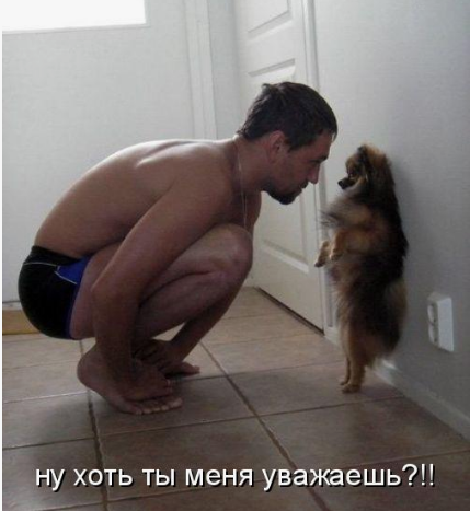 5 верных способов потерять друга-собачника