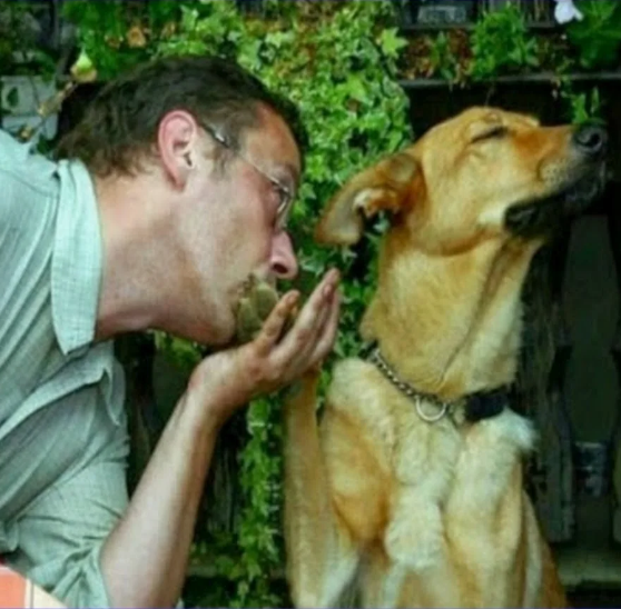 Фото из поиска Яндекса