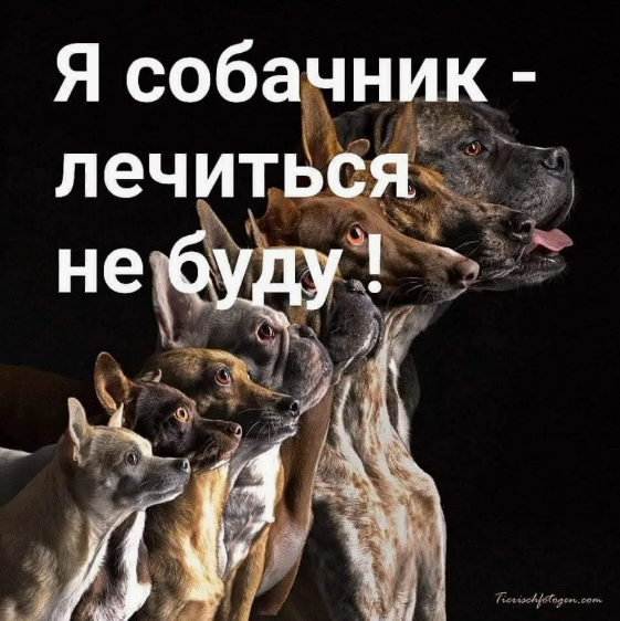 Фото с сайта fotostrana.ru