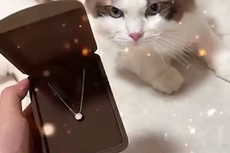    Кадр из видео