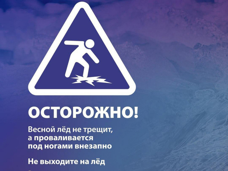     фото администрации Владимира