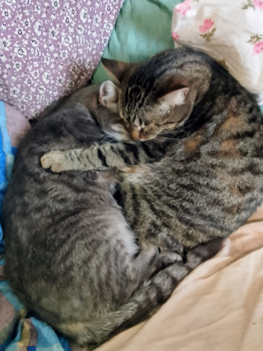 Милана и Флинт