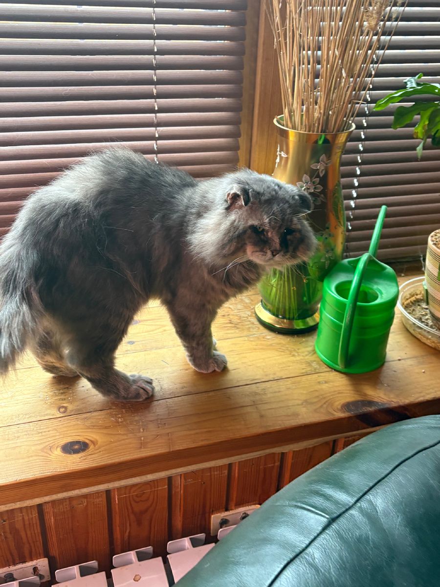 Любимое Филино место ! Везде фото автора.