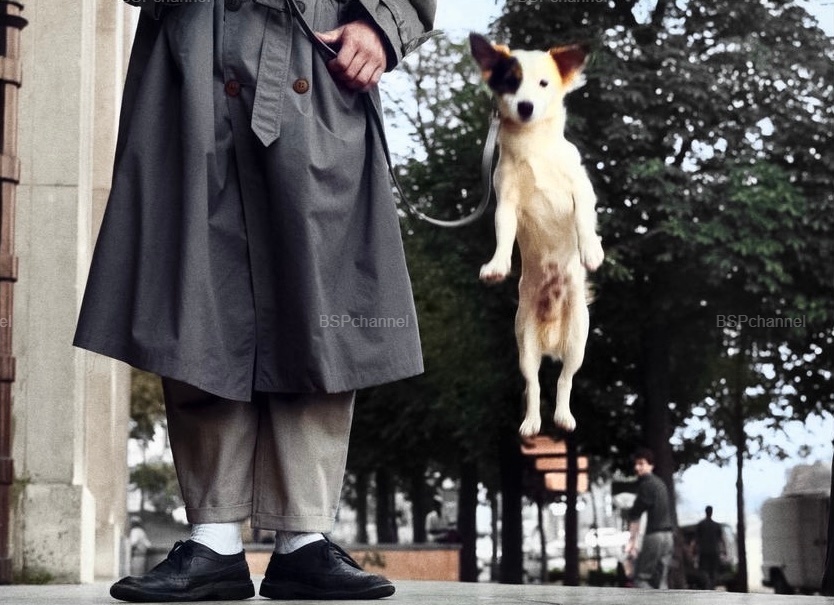 Фотограф: Эллиотт Эрвитт