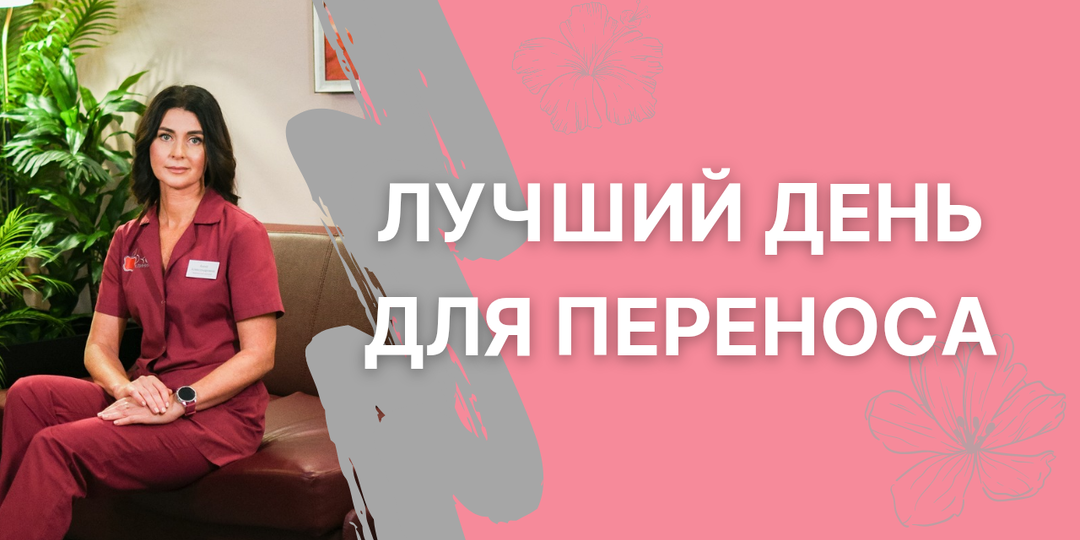 Перенос эмбрионов на 3 или 5 сутки - как делается выбор