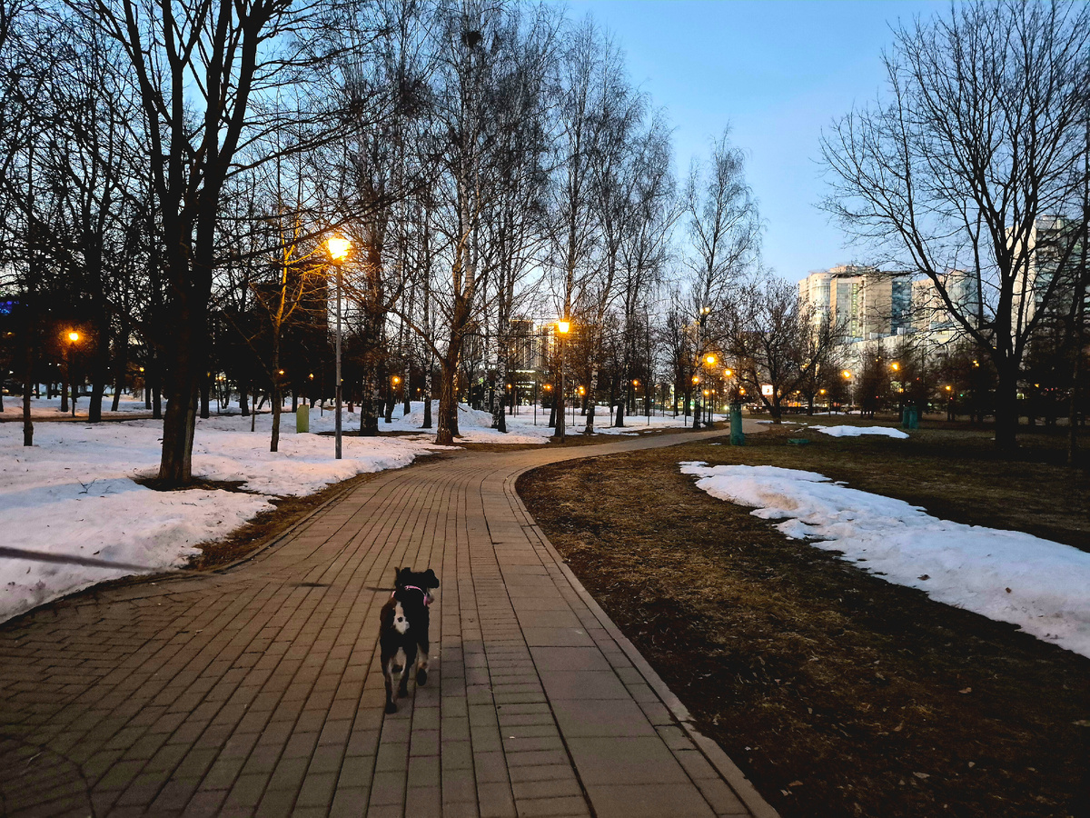 По дороге домой