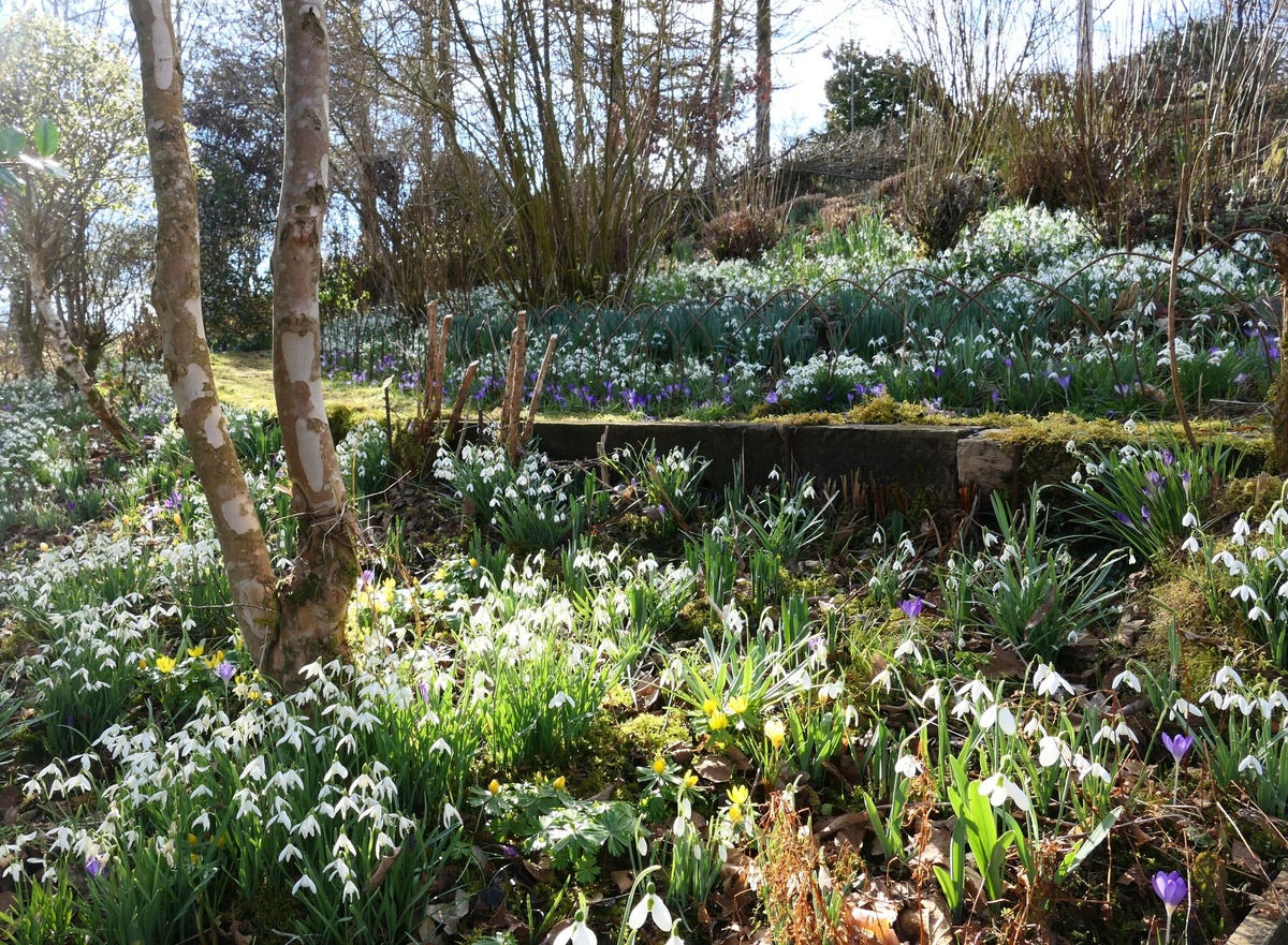 Фото из интернета, автор Gelli Uchaf