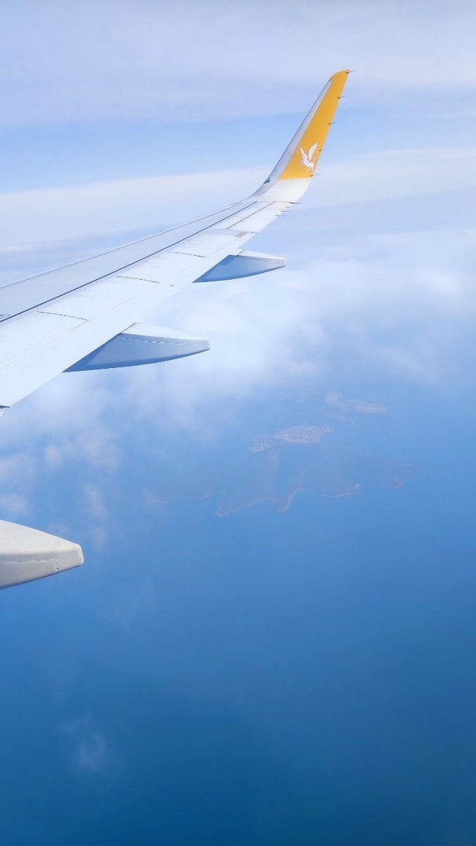 Полет нормальный