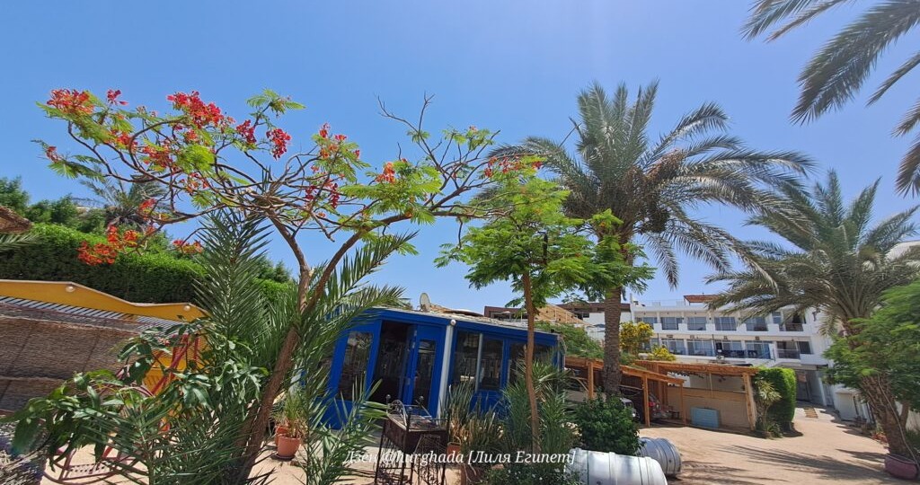 МТС запустила переводы в Египет с выдачей наличных: как работает сервис