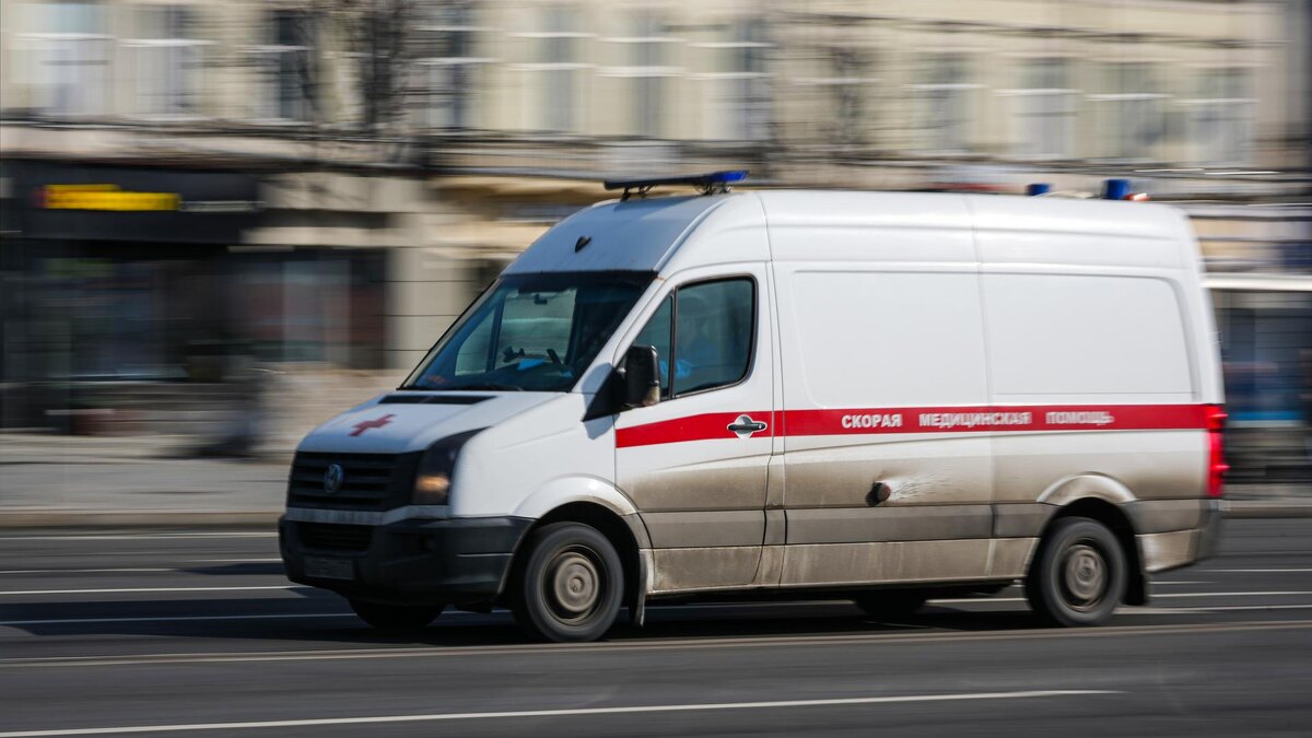    Фото: ИЗВЕСТИЯ/Дмитрий Коротаев