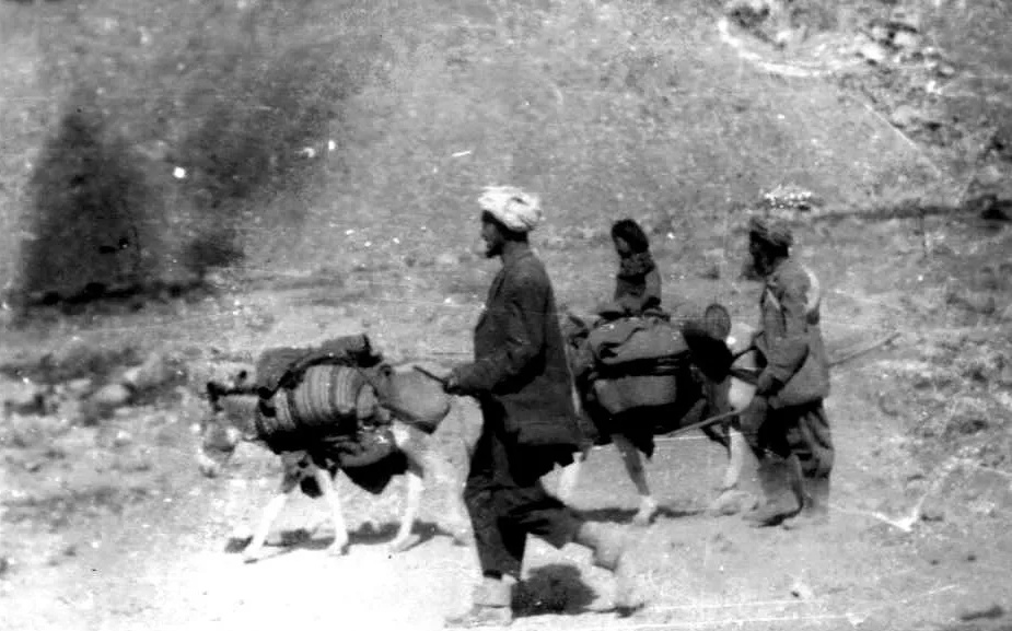 Афганское население Малого Памира