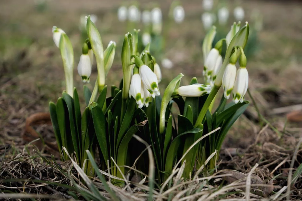 Фото: Русский музей / Дарья Середюк