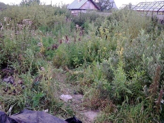 Когда план остался на бумаге, а реальность встретила вот так