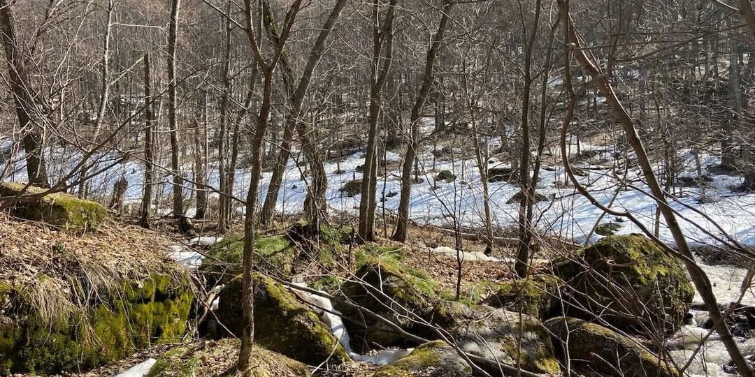 Гороскоп для всех знаков Зодиака на 24 марта 2026 года