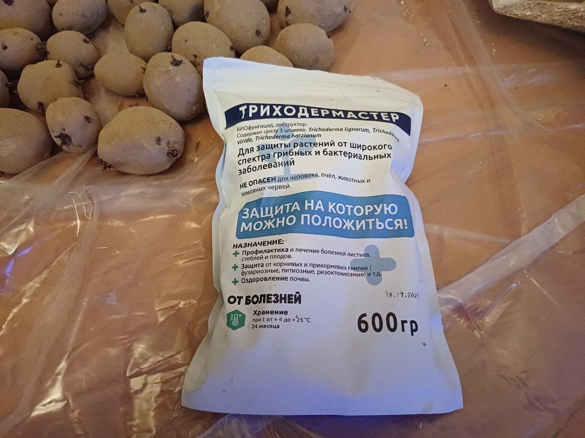 Триходерма