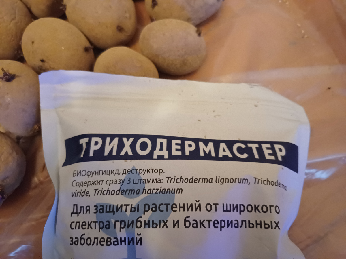 У меня вот такие виды гриба Триходермы