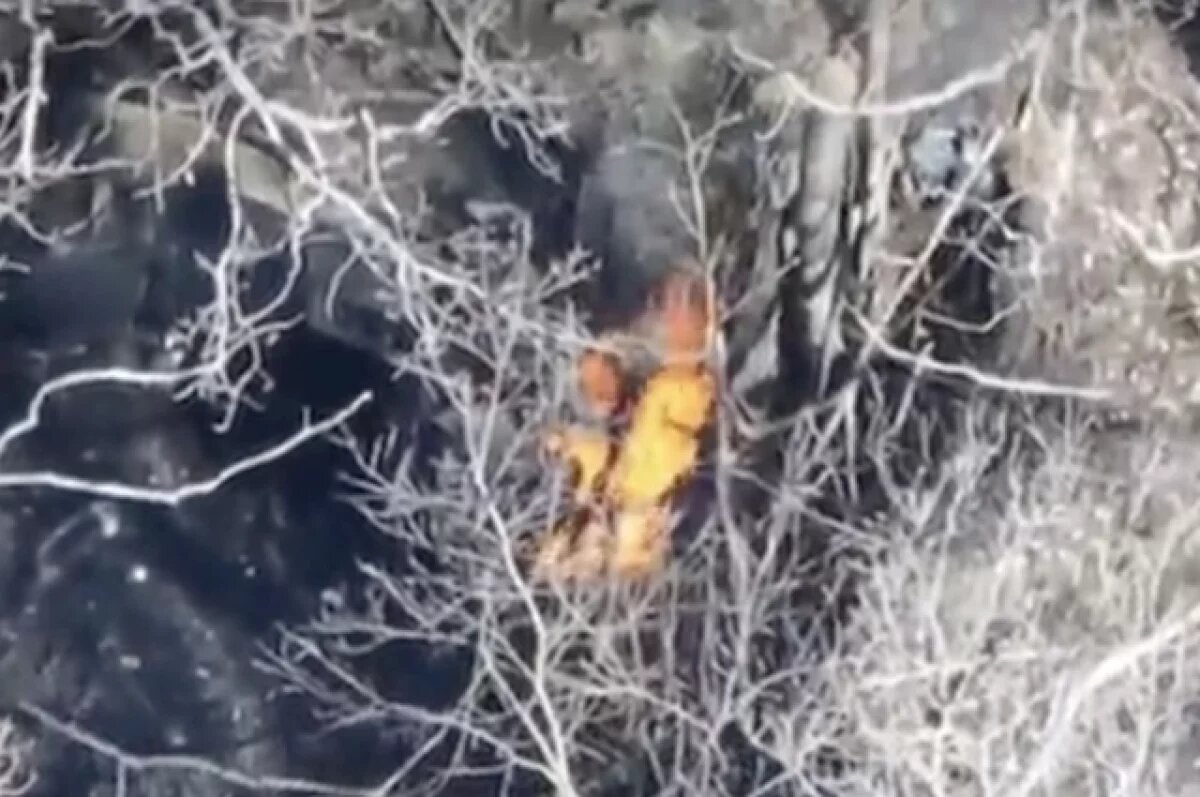    Кадыров опубликовал кадры уничтожения британской техники в зоне СВО