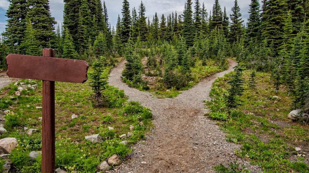 Когда вы постоянно говорите «да», вас перестают уважать. Удобных эксплуатируют. Как разорвать этот круг? Начните с одного простого шага сегодня.