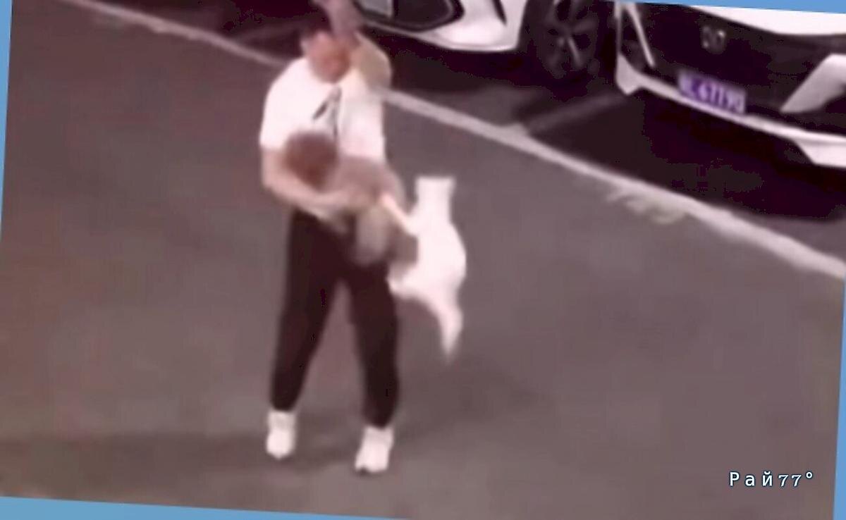   Фото - скриншот с видео, снятого на месте происшествия