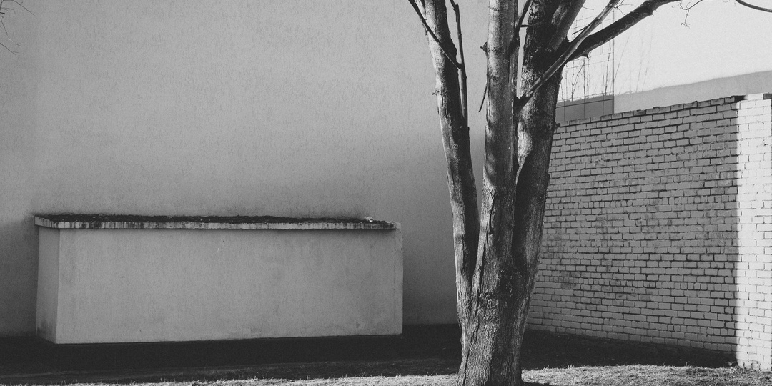 Мнение имеет