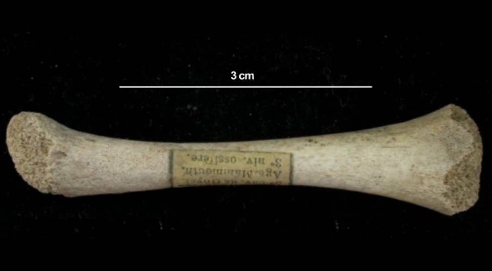   Charoula Fotiadou et al. / Proceedings of the National Academy of Sciences, 2026