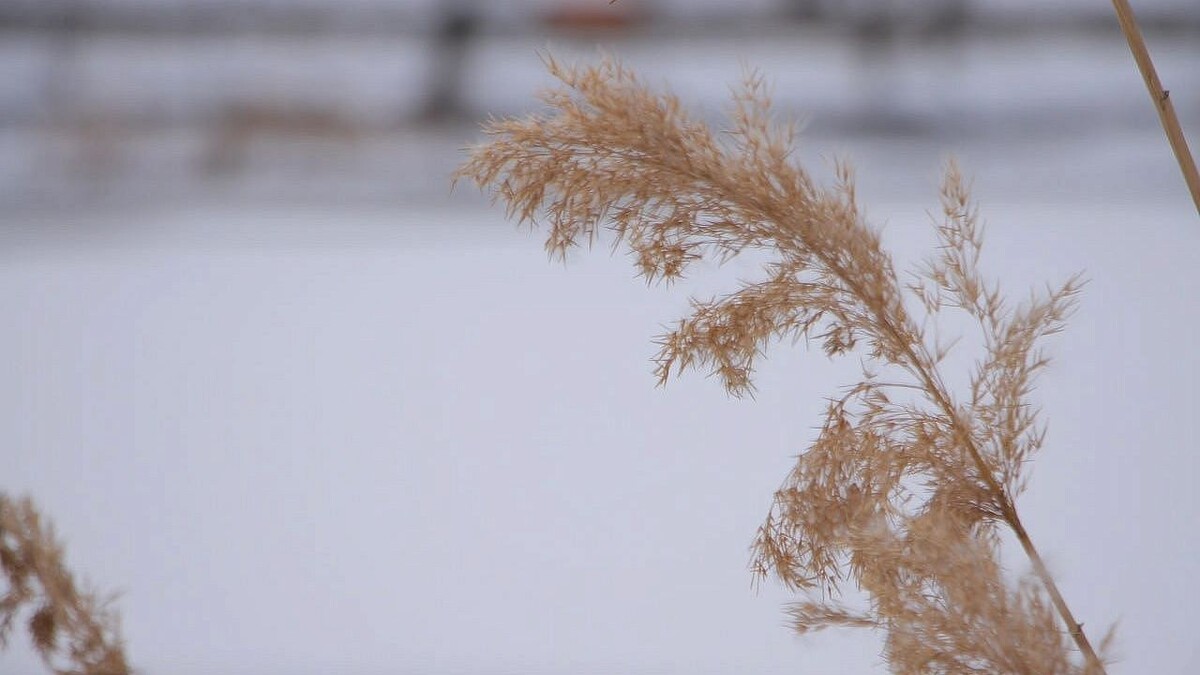    Фото: телеканал «Краснодар»