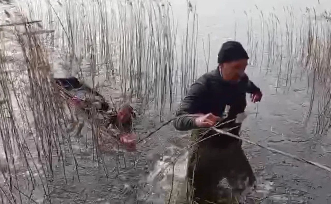    © Комитет по природным ресурсам Ленинградской области