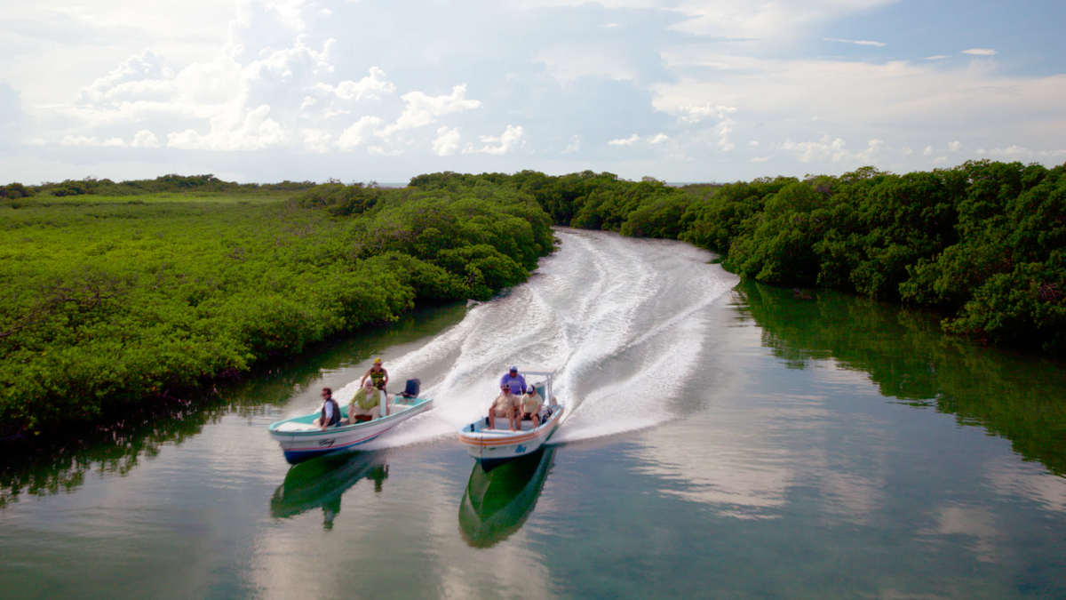 Кадр из фильма «Рыбалка для миллионера» (2025)
