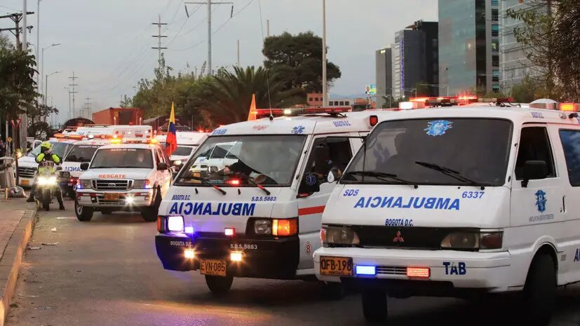    Источник: russian.rt.com Мила Кузнецова