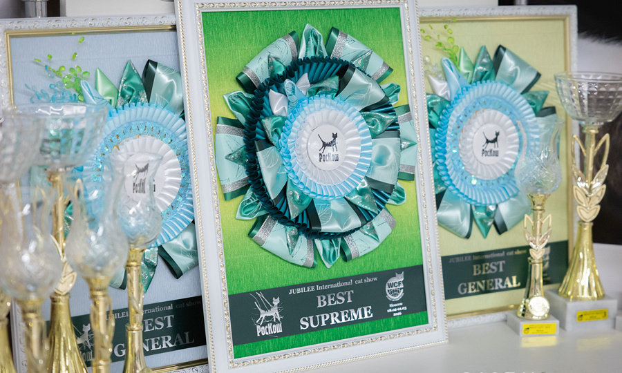 РосКОШная весна. Пушистый отчёт