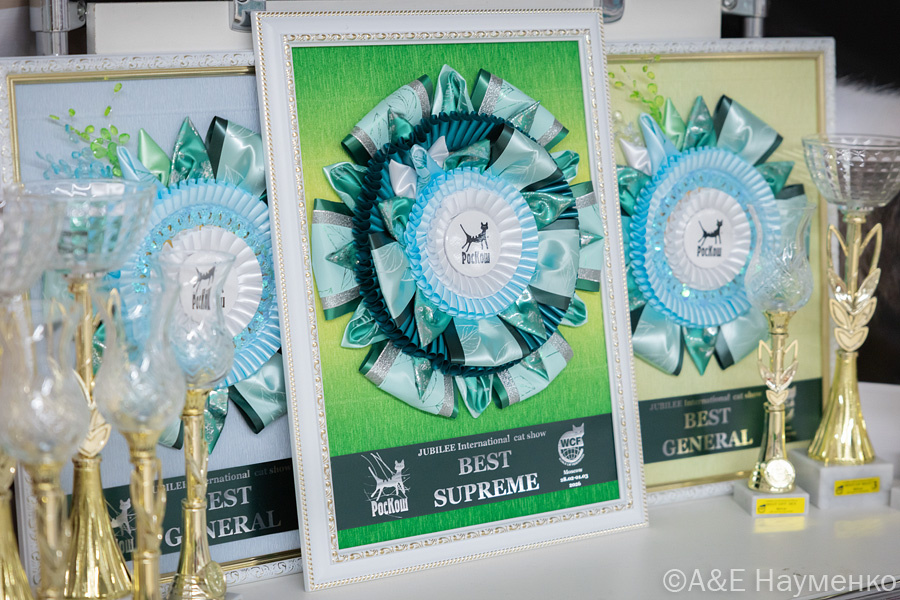 Награды ожидают победителей