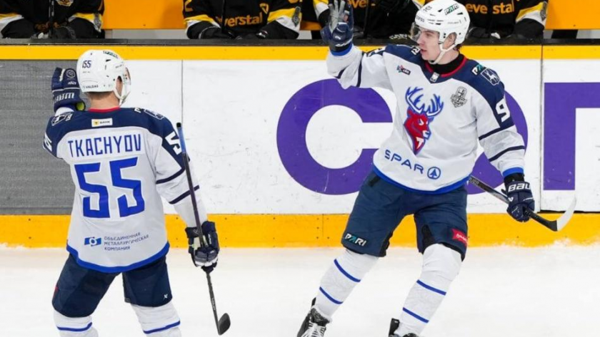    ХК "Торпедо" с сайта i3.vgoroden.ru