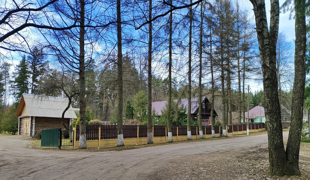 24 марта 2024 года на нашей деревенской улице было уже вот так сухо