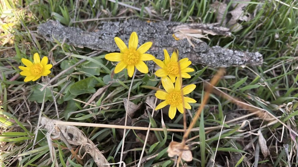    Фото: Г. Ященко. Галина Ященко