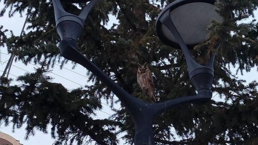    МариМедиа с сайта akpars.ru