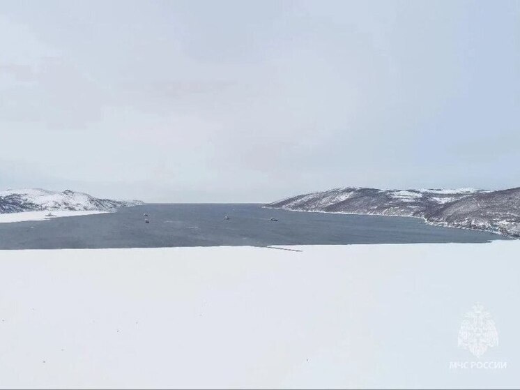     Фото: МЧС России