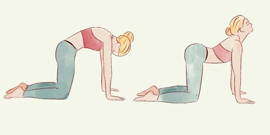 7 базовых упражнений Бубновского дома для спины