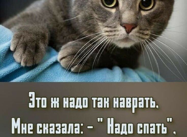Улыбнитесь!😸