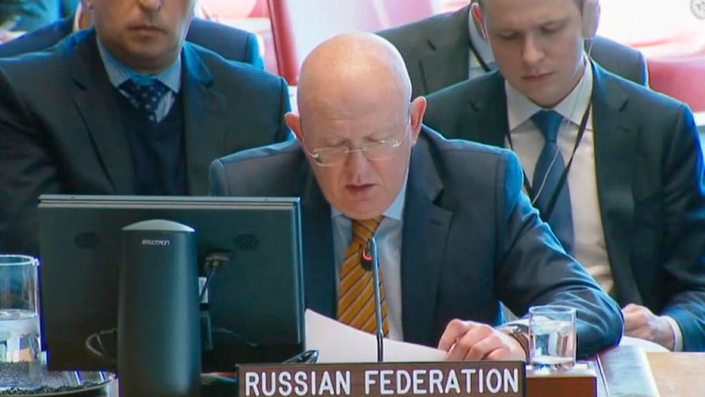    Василий Небензя