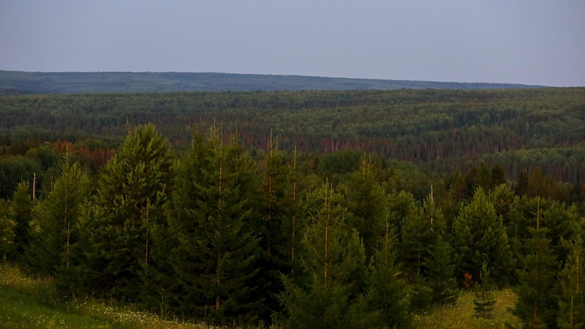    Фото: Elena Mayorova/Global Look Press