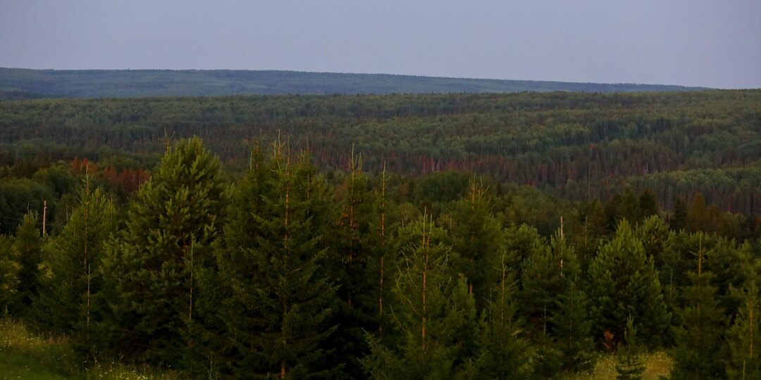 Четыре новые особо охраняемые природные зоны появятся в Ленобласти