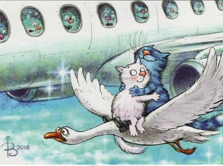 очаровательные коты Рины Зенюк