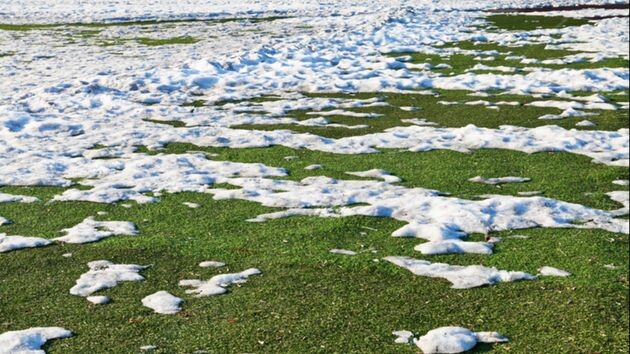 Солнечный антициклон придал ускорения весне