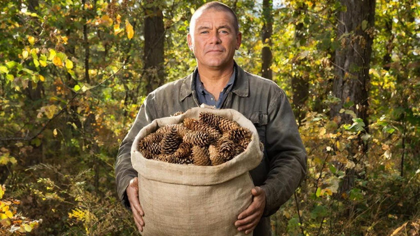    Сгенерировано в нейросети