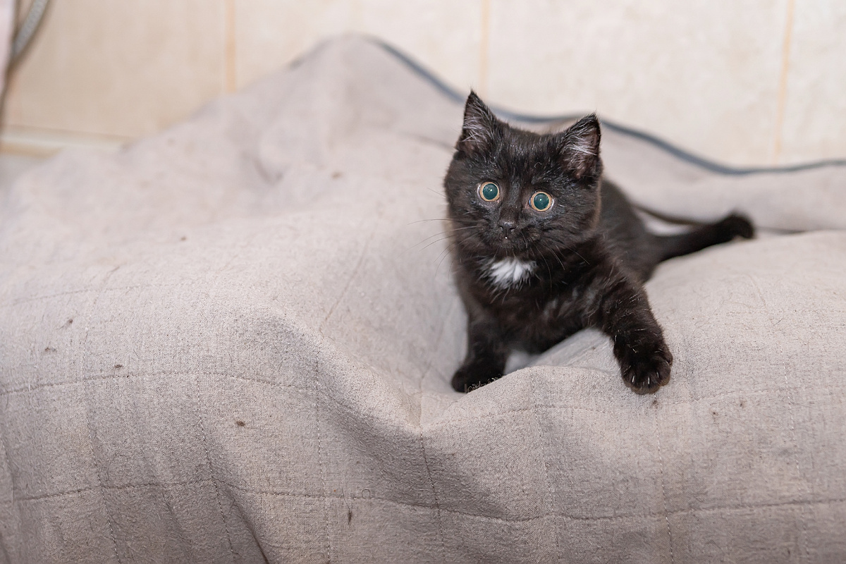 Так Наташка с игрушками сидела и дразнила, как тут удержаться?