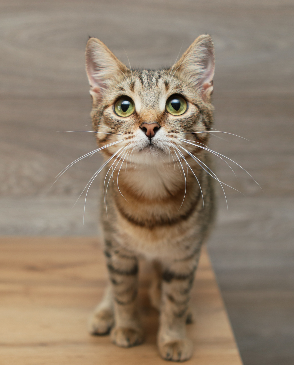 Отковыряли - какое волшебное слово теперь для меня:)