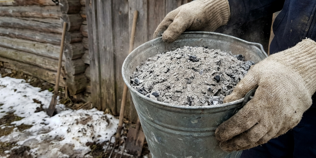 Золото из печки: Почему я больше не трачу деньги на магазинные удобрения и как правильно использовать золу в марте