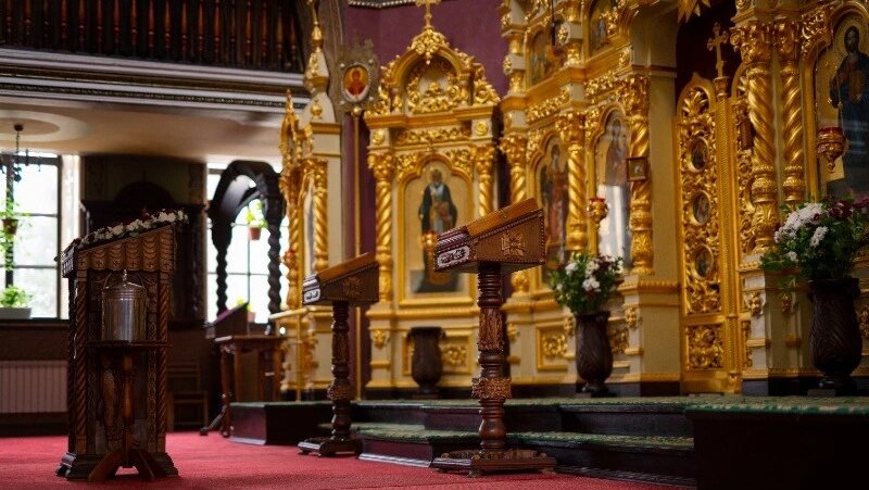      Фото: @freepik / ru.freepik.com