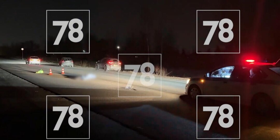 Легковушка насмерть сбила человека на Волхонском шоссе